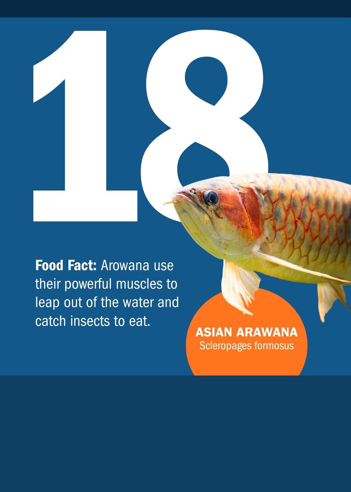 18[1].jpg