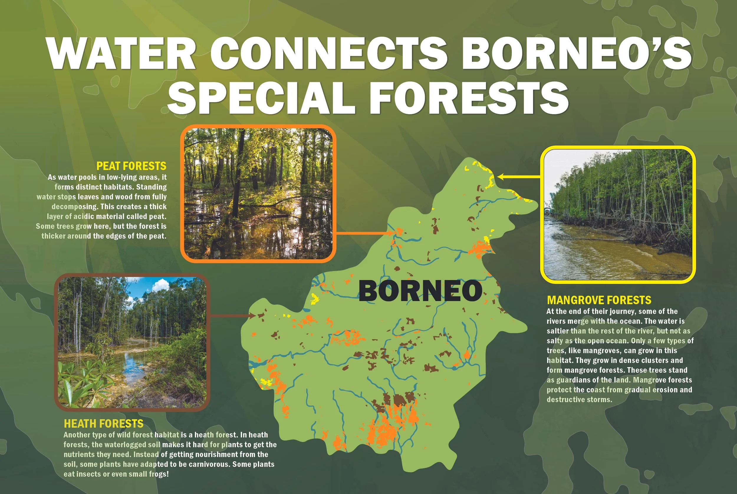 SL12 Bornio (INT)-100.jpg