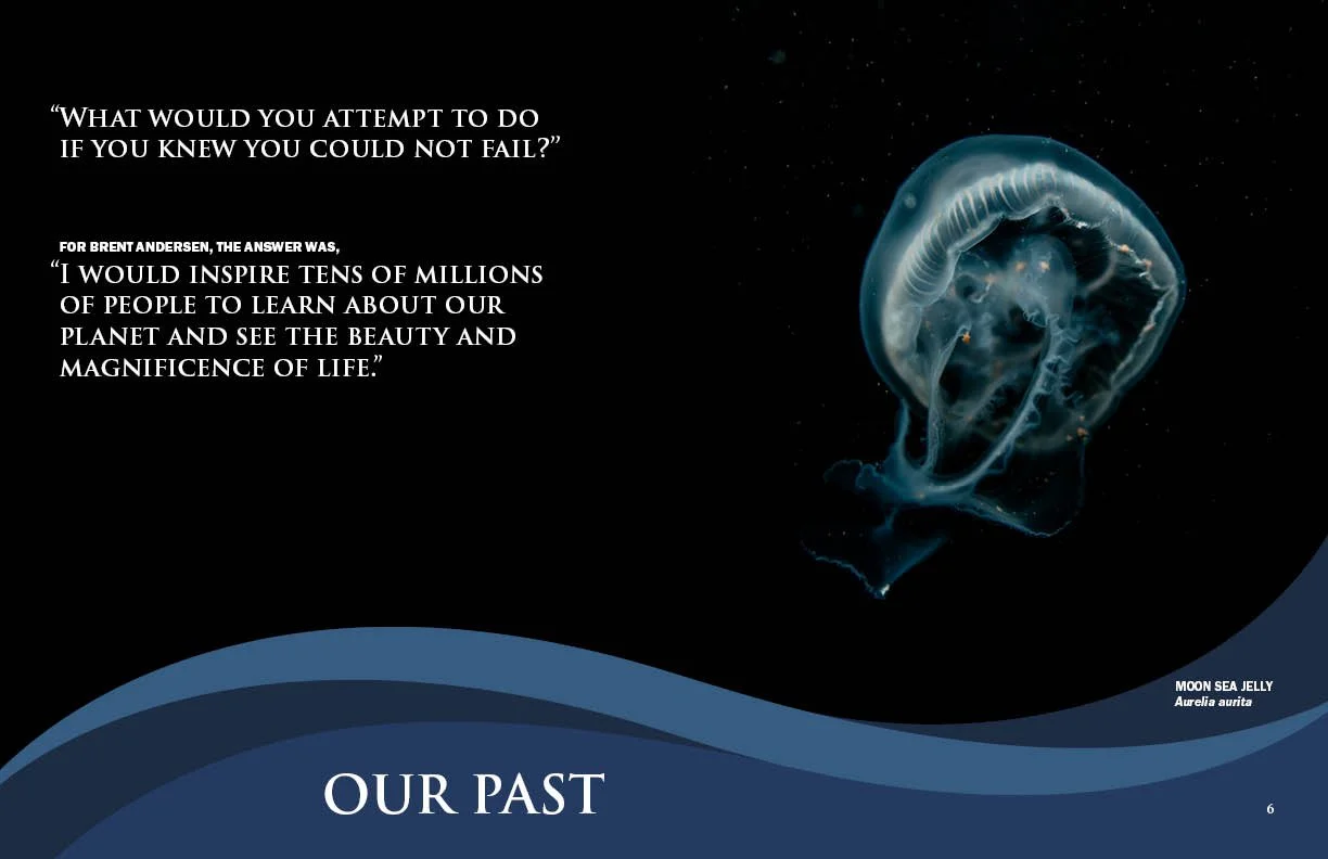 Annual Report 20254.jpg