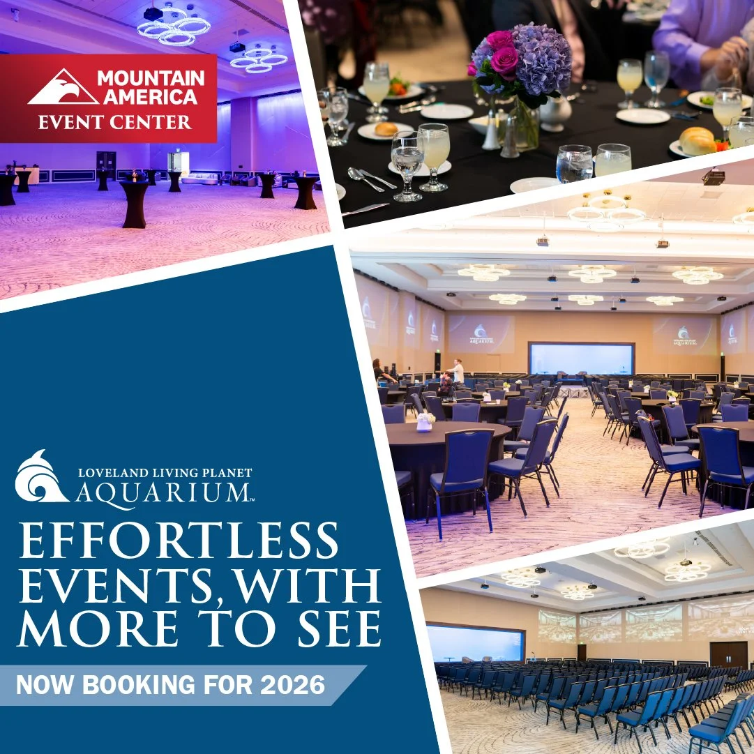 1080 x 1080 Effortless Events-100.jpg