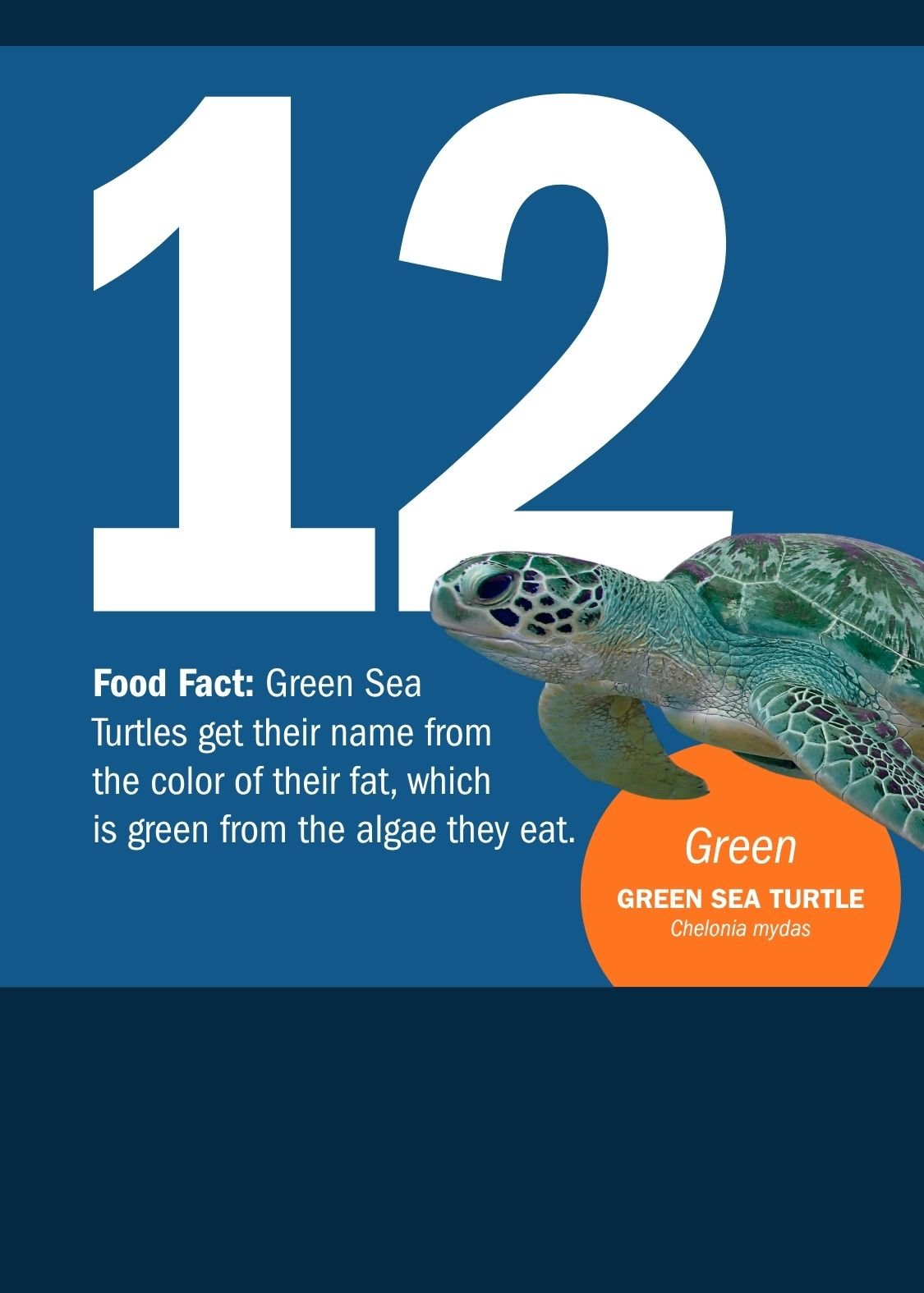 12[1].jpg