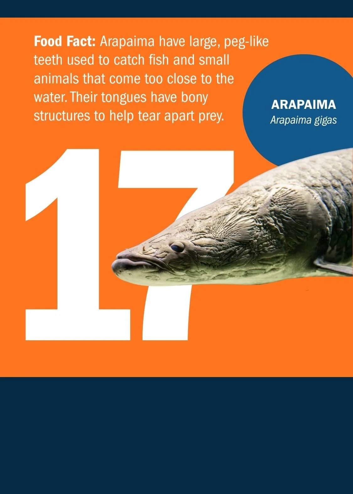17[1].jpg