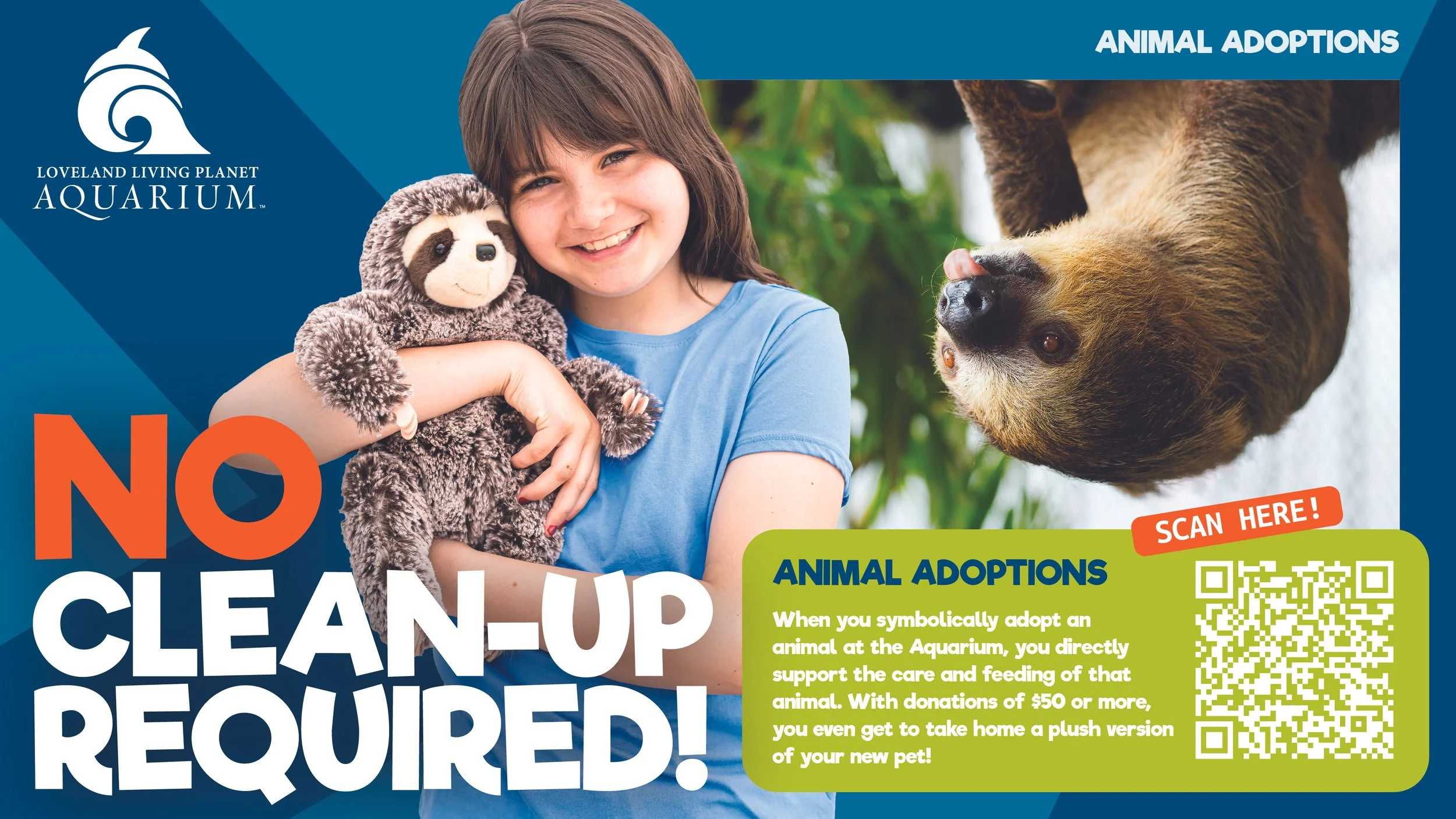 Animal Adoption Campaign