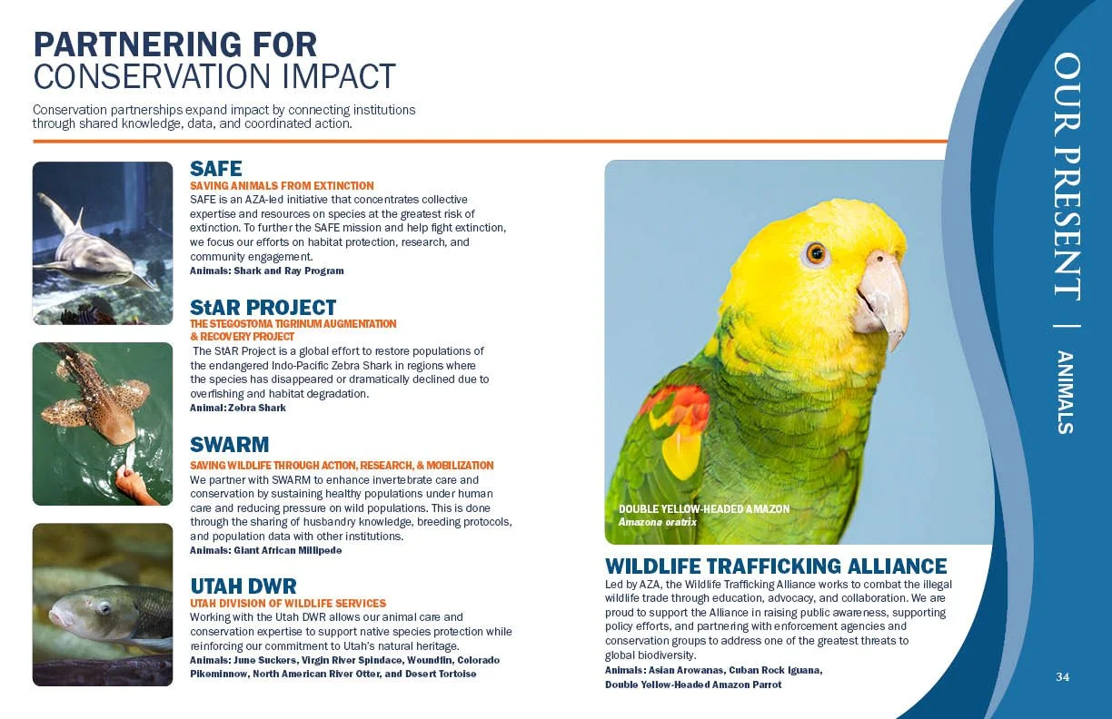 Annual Report 202518.jpg