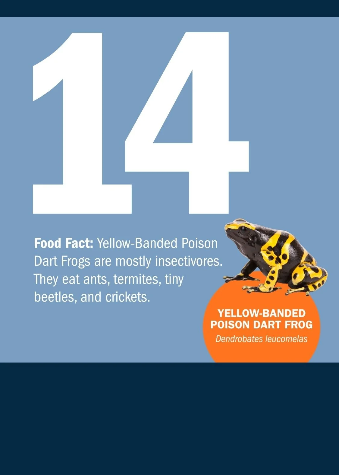 14[1].jpg