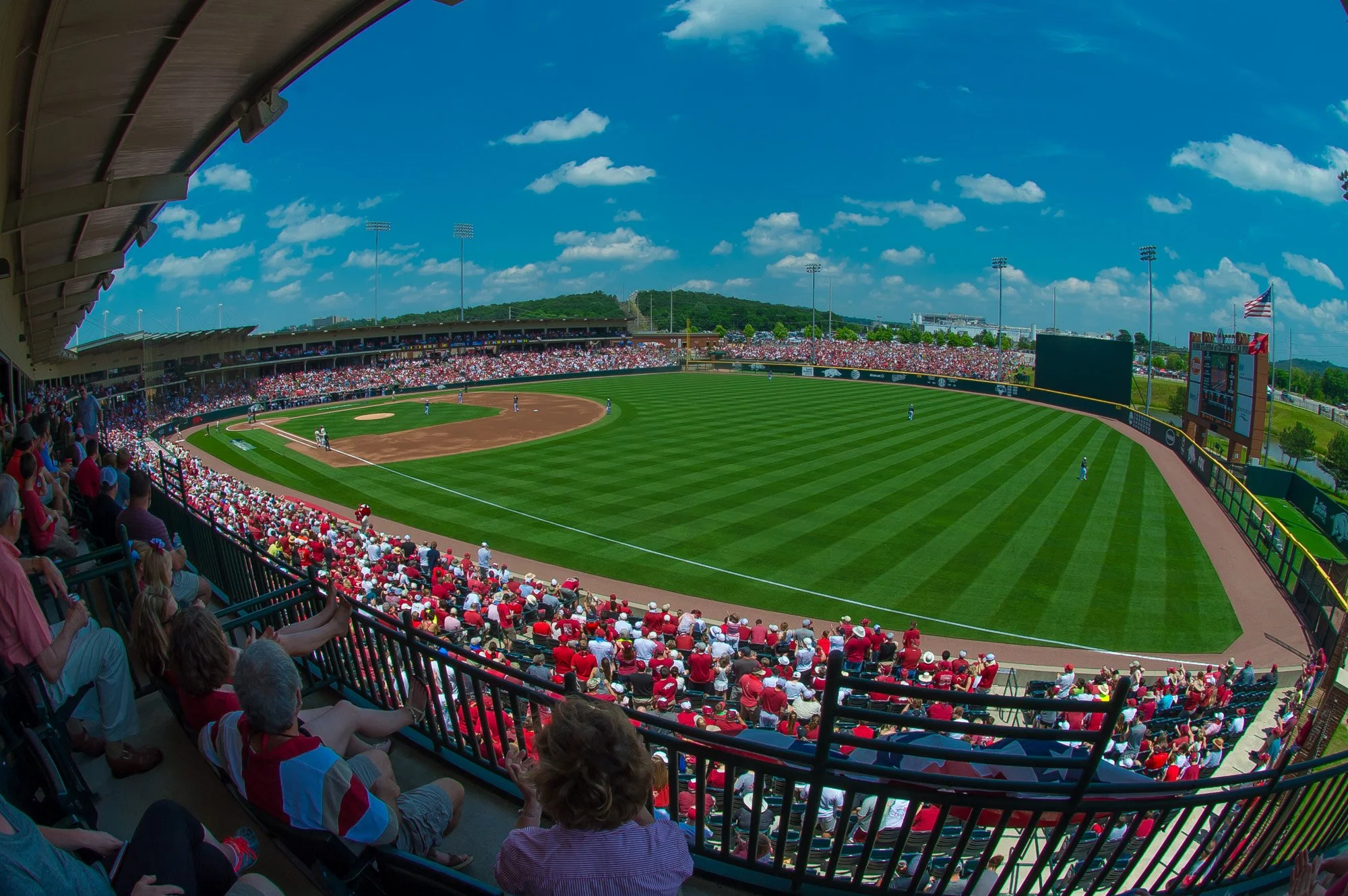 baum_20_17.jpg