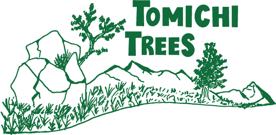 Tomichi Trees