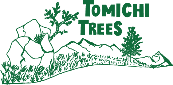 Tomichi Trees