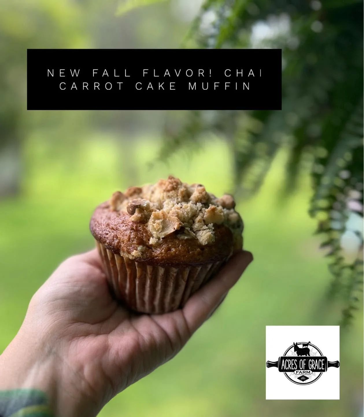 chai muffins.jpg