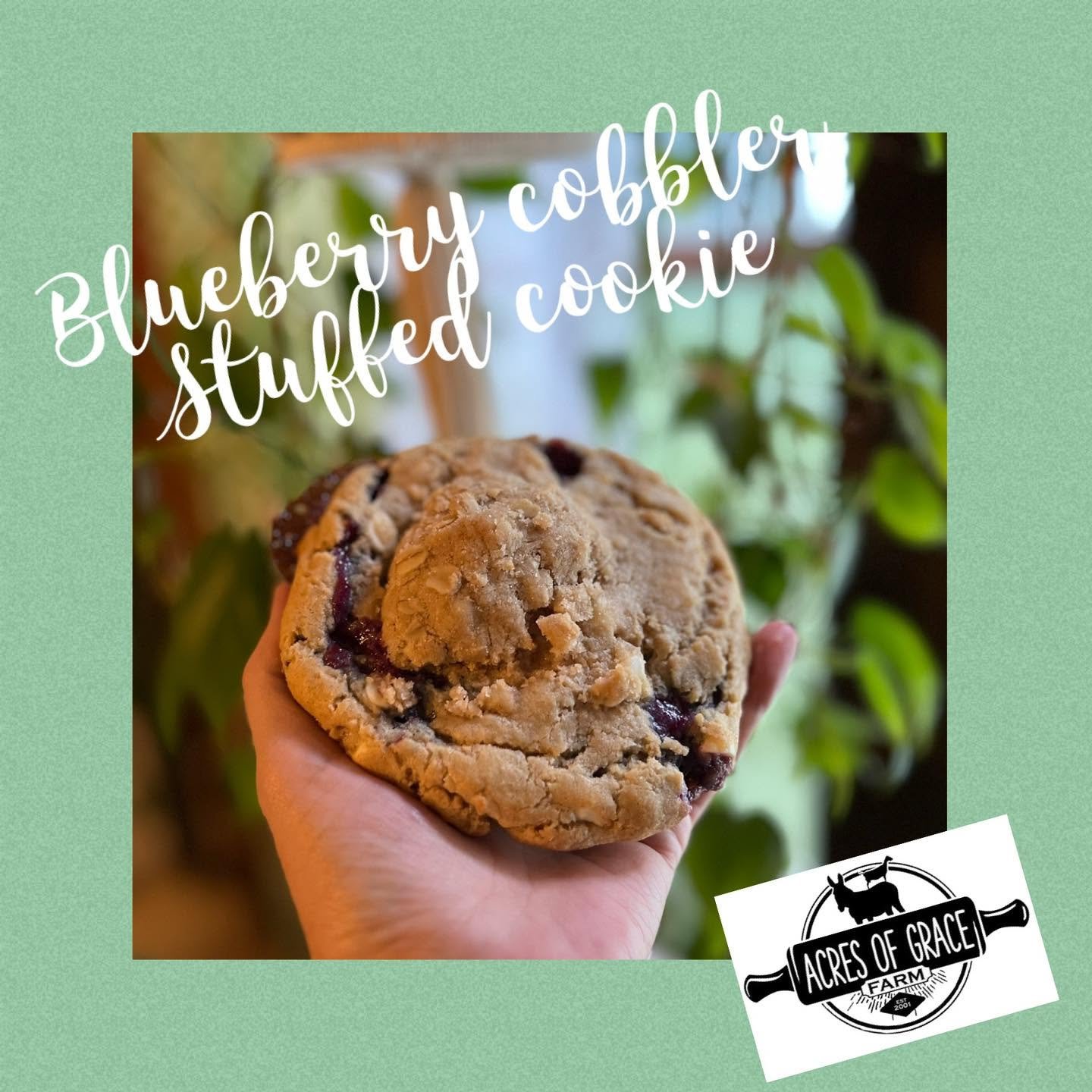 bb cobbler cookie.jpg