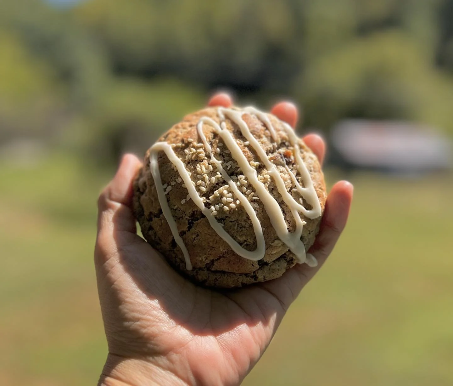 miso maple cookie.jpg