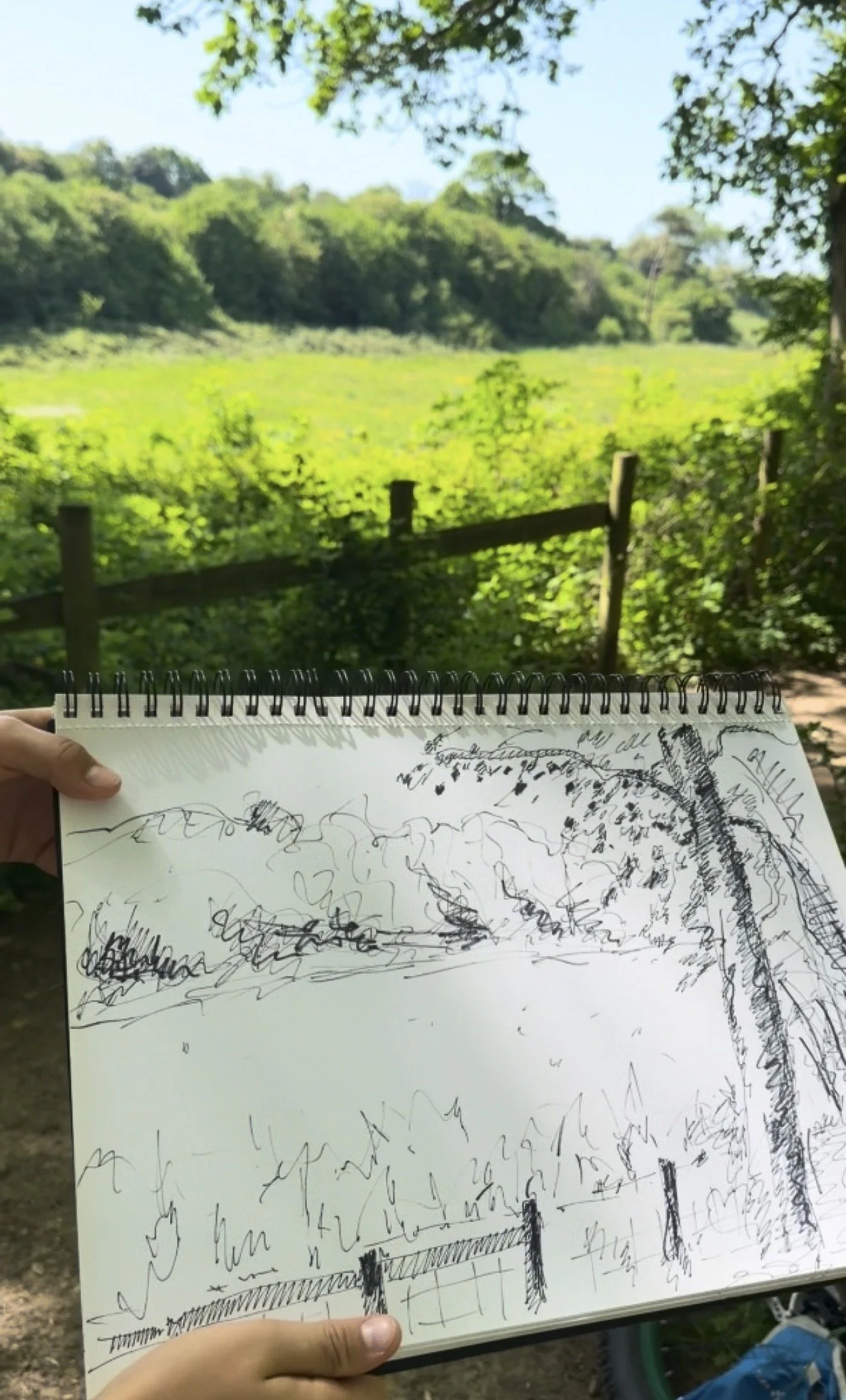 Sketching Reinden Woods