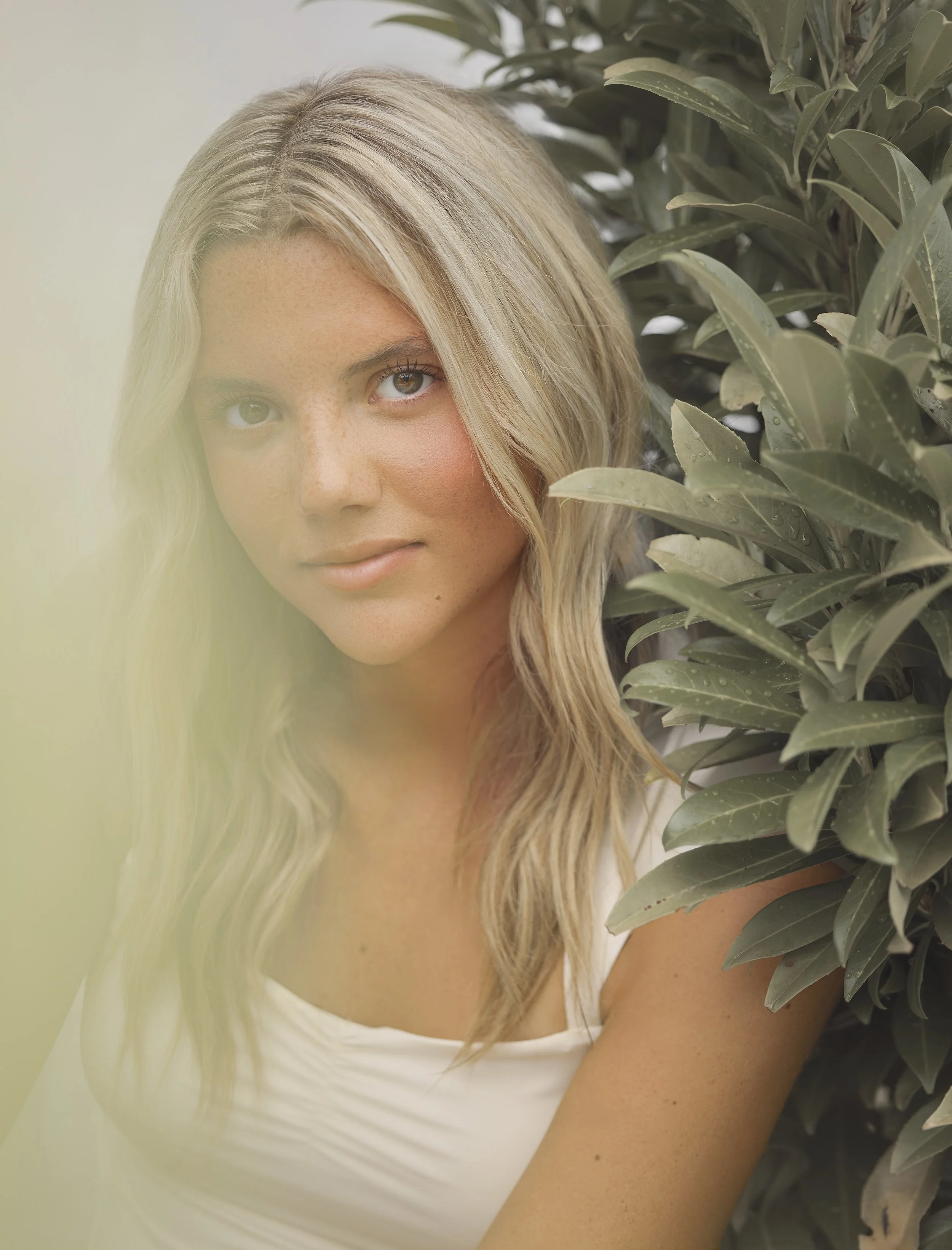 _Addi Wall - Marshall 2026 - 76039 - BRS.jpg