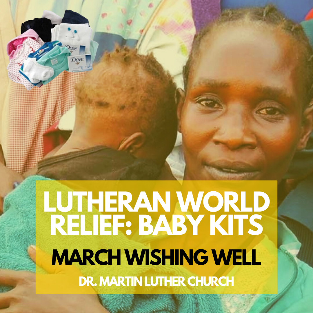 March 2026 Wishing Well LWR Baby Kits.png