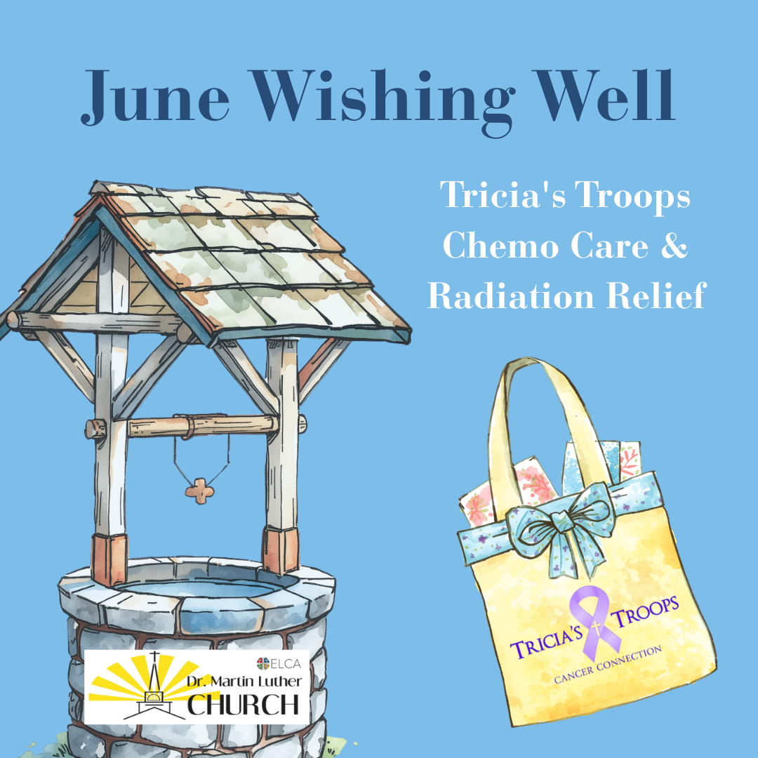 June Wishing Well 2026 Tricia's Troops.png