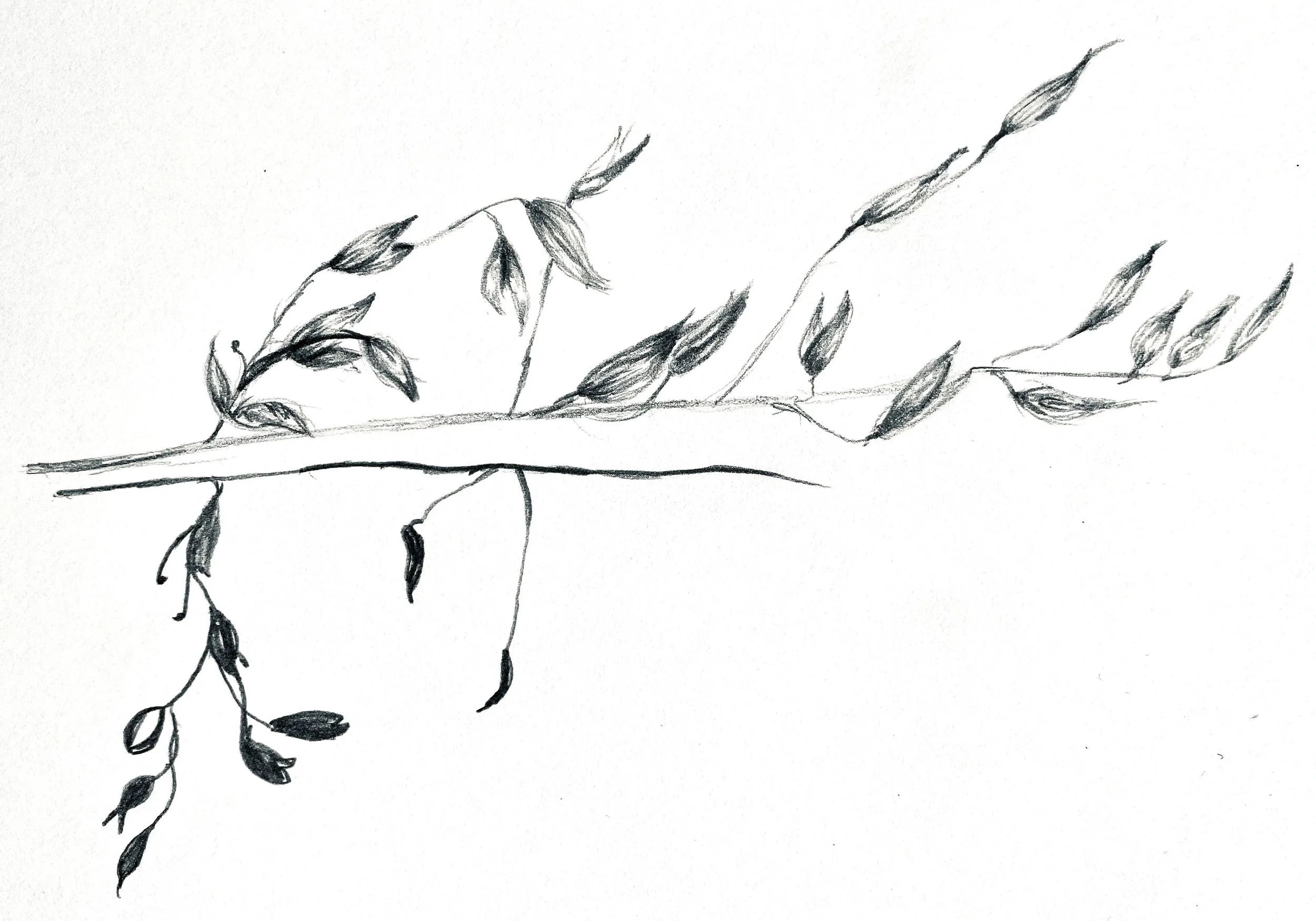 flower copy.jpg