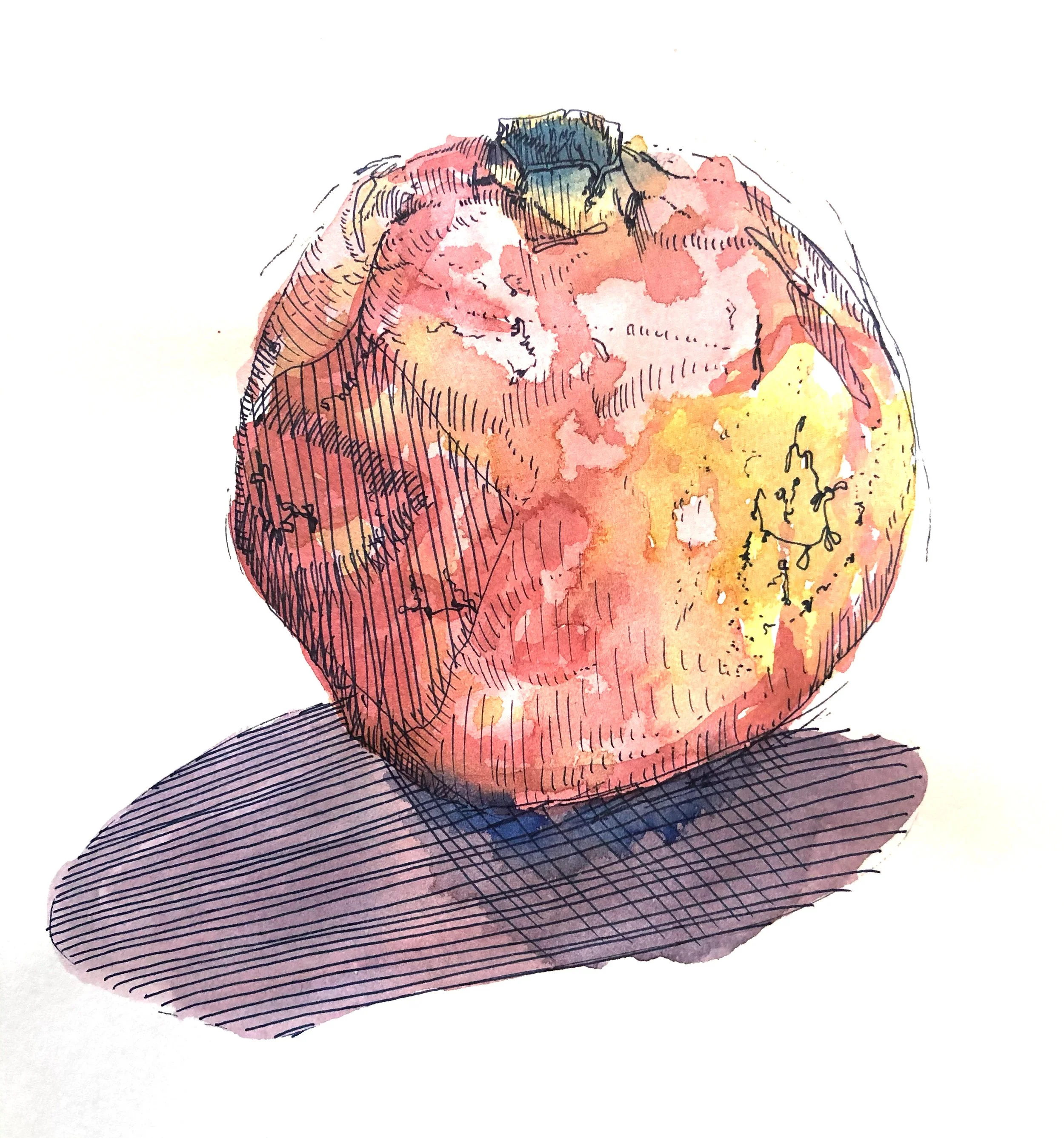 pom.jpg