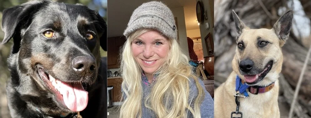A collage of three images: on the left, a close-up of a black and brown dog with a happy expression, tongue out; in the center, a woman with long blonde hair wearing a gray knit hat smiling inside a home; on the right, a tan-colored dog with pointed ears and a collar, outdoors with a natural background.