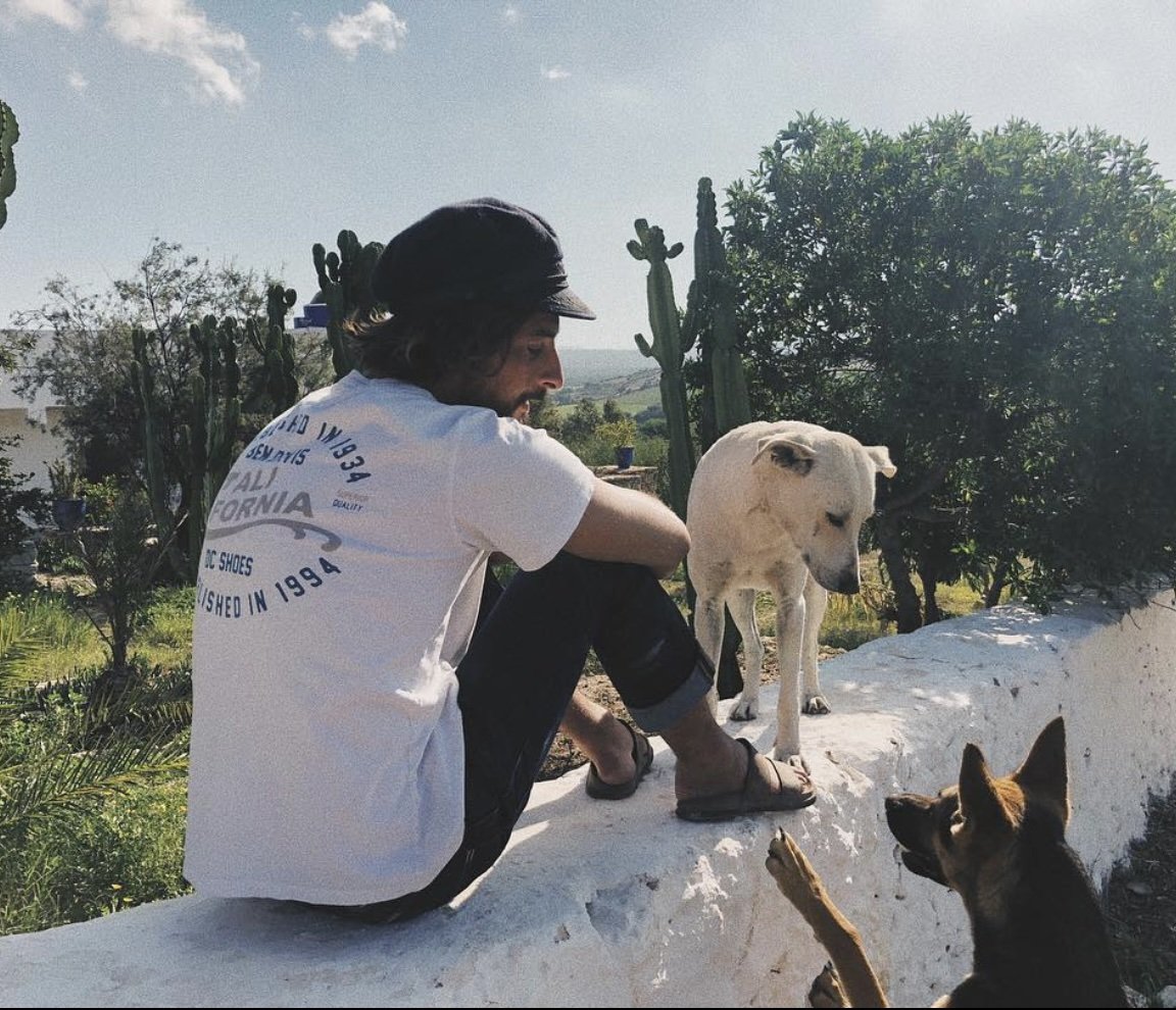 A man sitting on a white stone wall with a white dog and a brown dog in an outdoor setting with trees and cacti.