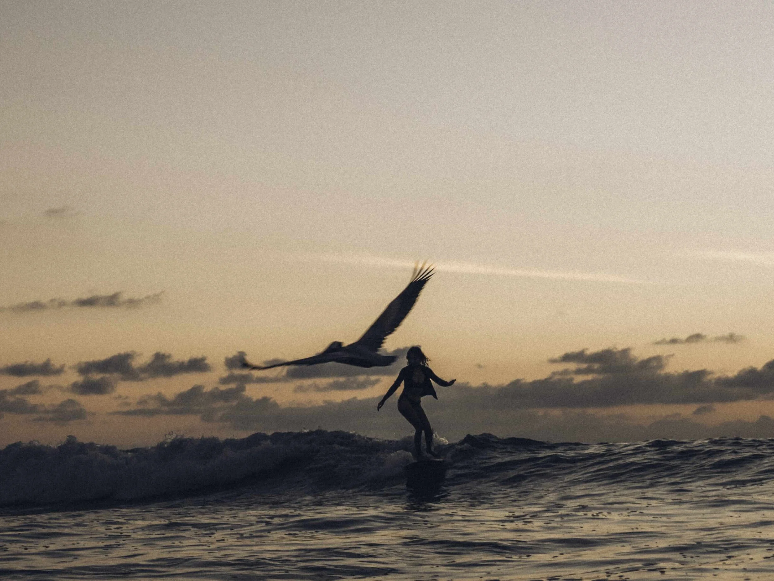 MEXICO @julienbinchbinet-1199422.jpeg