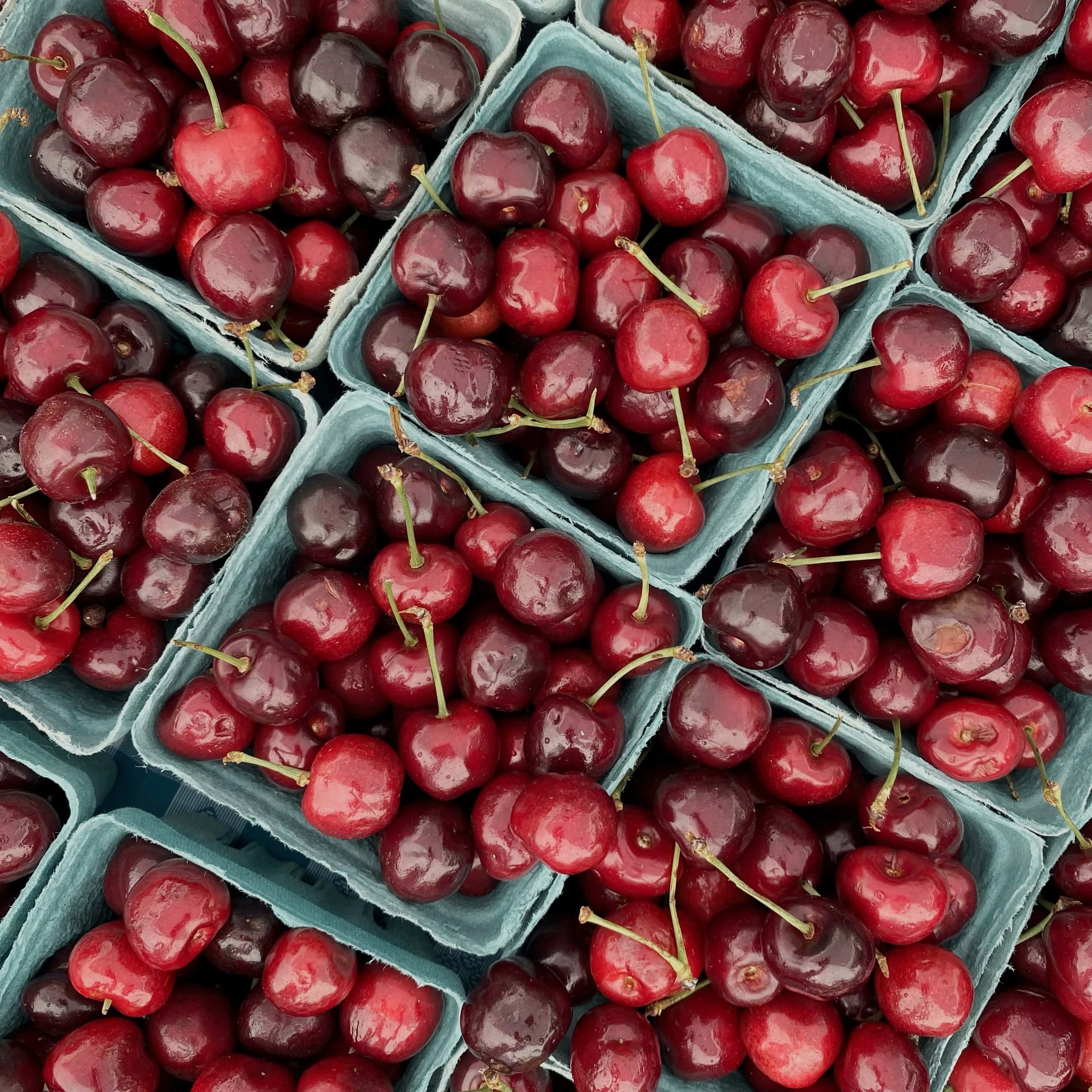 Cherries in pints
