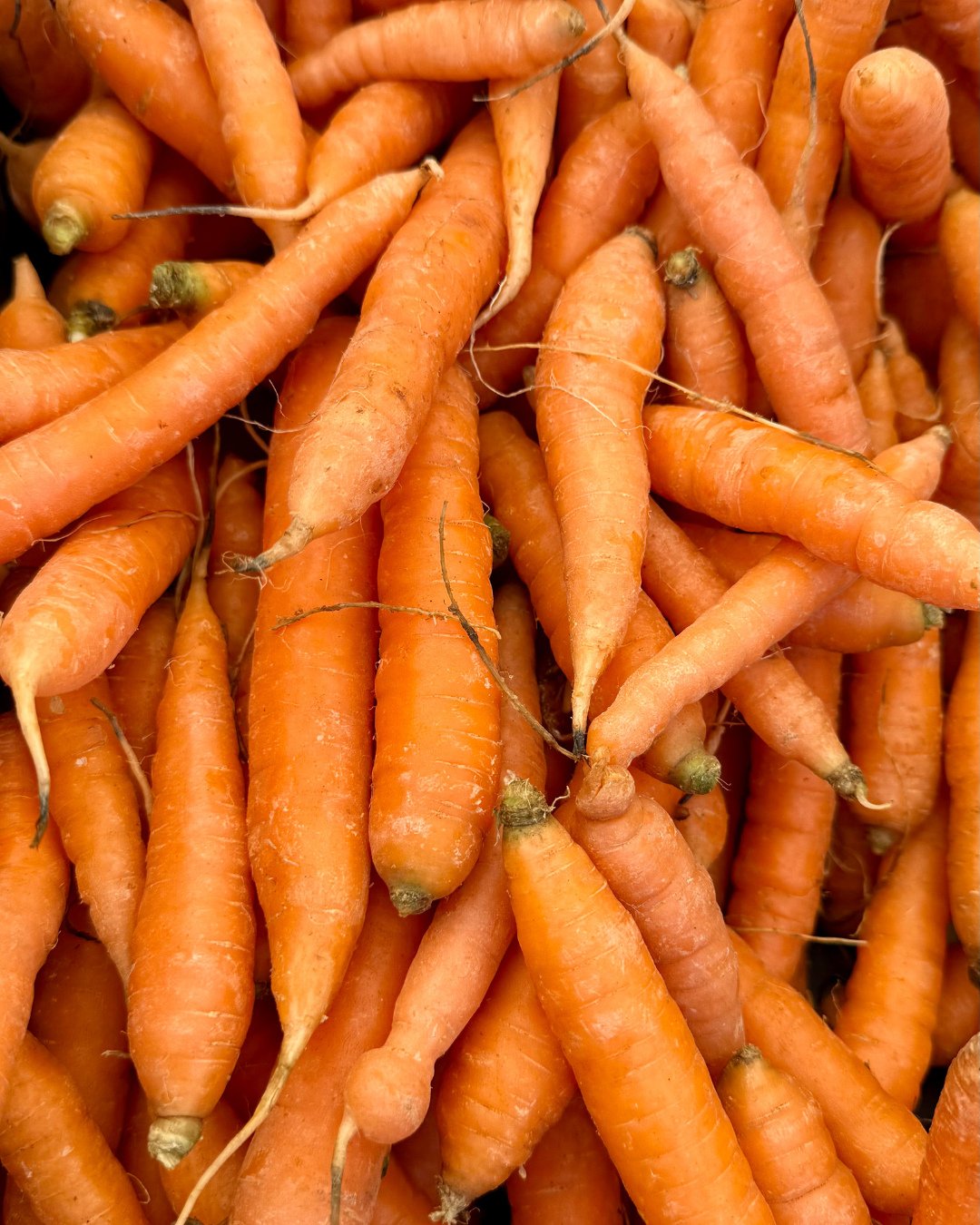 🥕 Thanksgiving Offerings from @WillowWispOrganicFarm⁠
⁠
Bring the flavor of the farm to your holiday table with the season&rsquo;s best from Willow Wisp &mdash; all grown with care, connection, and love for the land.⁠
⁠
You'll find salad greens, kal