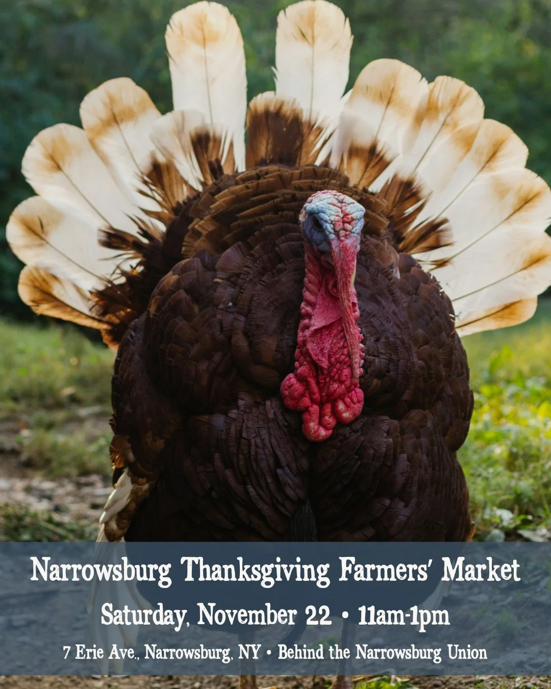 🦃 Today&rsquo;s the Day! Your Farm-to-Table Thanksgiving Starts Here⁠
⁠⁠
From pasture-raised turkey to artisanal bread, decadent desserts, and small-batch gifts for your holiday host&hellip; this is where local flavor comes alive.⁠
⁠
📅 Today &mdash