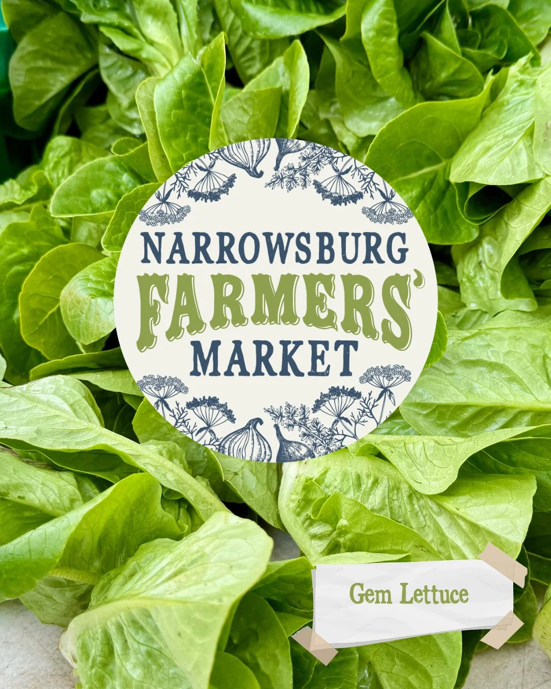 🌱 Get Your Greens On 🌱⁠
⁠
May is for tender things.⁠
⁠
This Saturday&rsquo;s market will be full of the first sweet, crisp greens of the season &mdash; peppery arugula, mustard greens, little gem lettuces, and the kind of fresh herbs that make a si