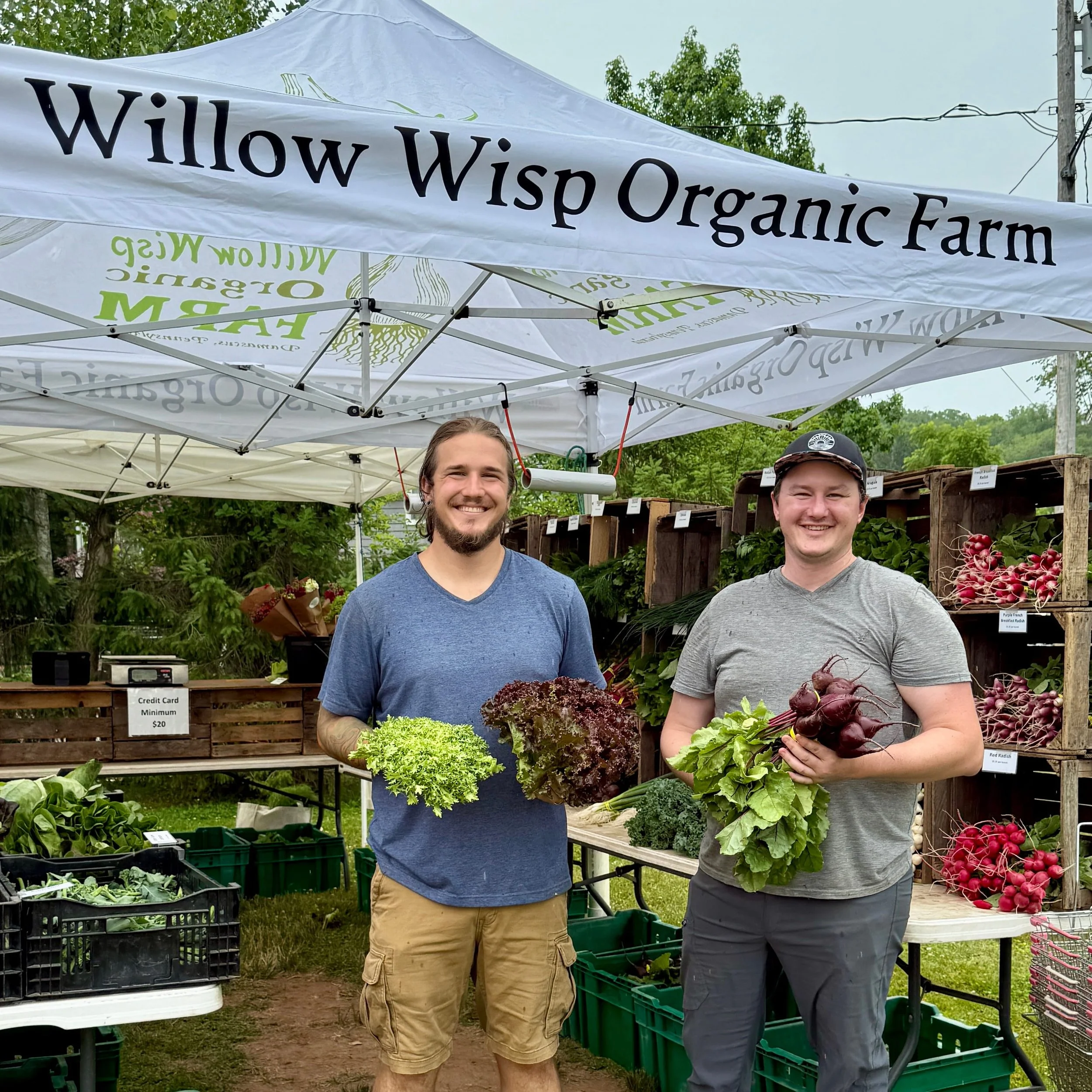 Willow Wisp Organic Farm.jpg