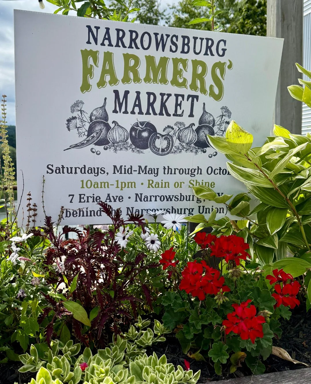 It&rsquo;s market day! 🌿 Come say hi, pick up something good, and see what&rsquo;s fresh this week. We&rsquo;ll be behind the Narrowsburg Union from 10&ndash;1, rain or shine. See you there!