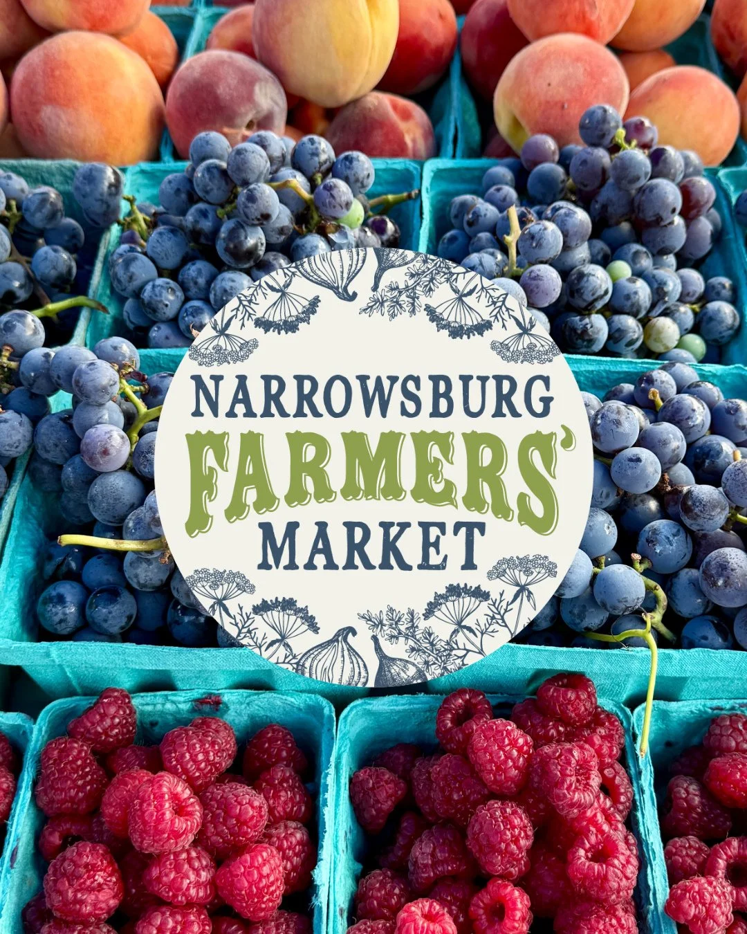 Good morning, Narrowsburg! 🌞 Market day is here &mdash; and September is bringing good things to the table.⁠
⁠
🌶️ Two Creek Farm has Italian sweet grilling peppers, dried onions, new potatoes and delicata squash.⁠ @twocreek⁠
⁠
🍐 Trapani Farms is b