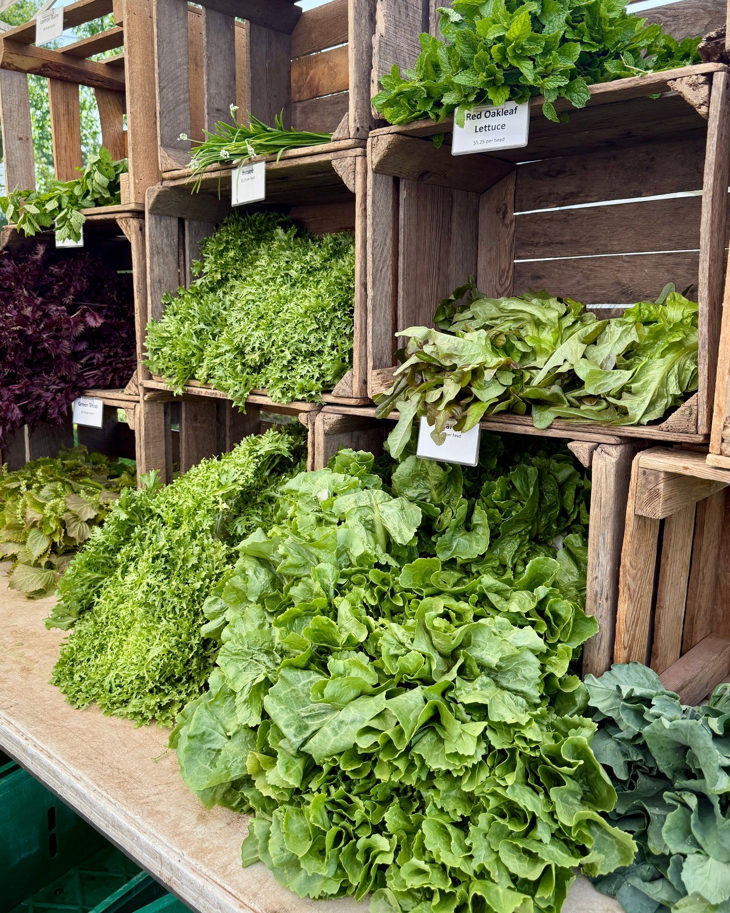 Good morning, Narrowsburg! 🍂⁠
⁠
The tables are full and we&rsquo;re ready for a beautiful fall Saturday at the Narrowsburg Farmers' Market.⁠
⁠
Come see what&rsquo;s fresh, say hello, and stock up for the weekend.⁠
⁠
Sat, Sept 26 | 10am&ndash;1pm | R