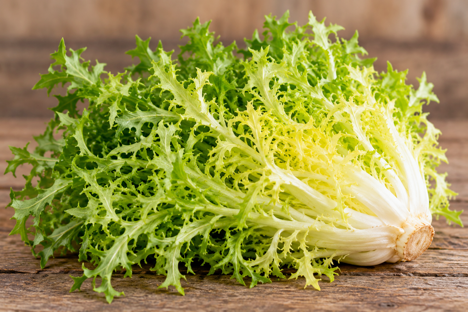 Frisée + Apple Salad with Apple Cider Vinaigrette