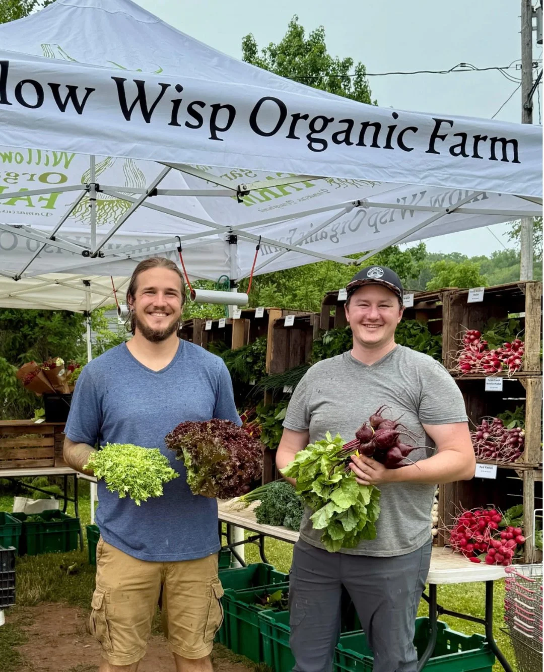 Along the Delaware River, Willow Wisp Organic Farm is growing a whole lot more than delicious vegetables, fresh herbs, and beautiful cut flowers. On 25 acres of rich river-bottom soil, owner Greg Swartz and his team are building a healthier farm ecos