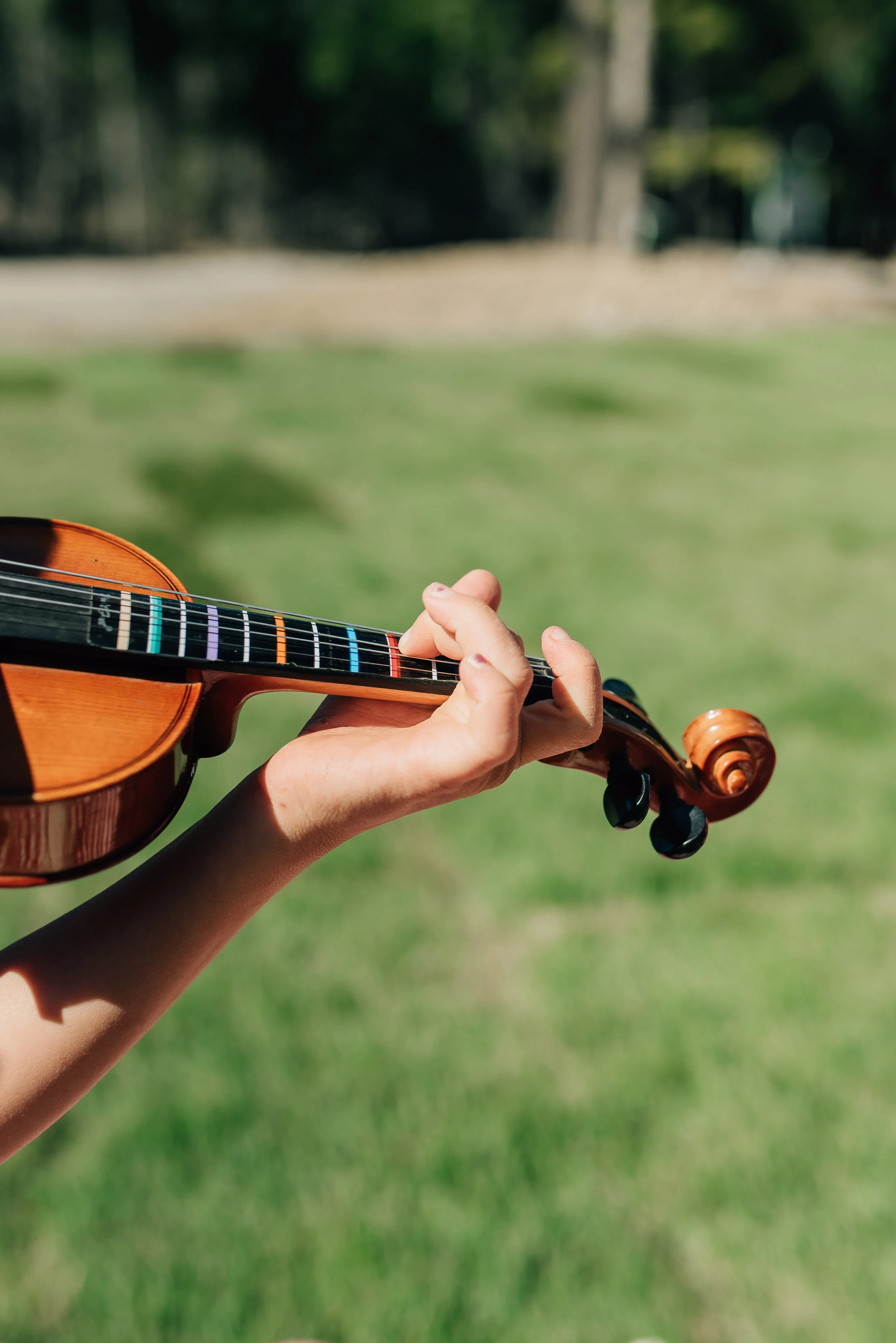 Choosing the Right Fiddle For Beginners