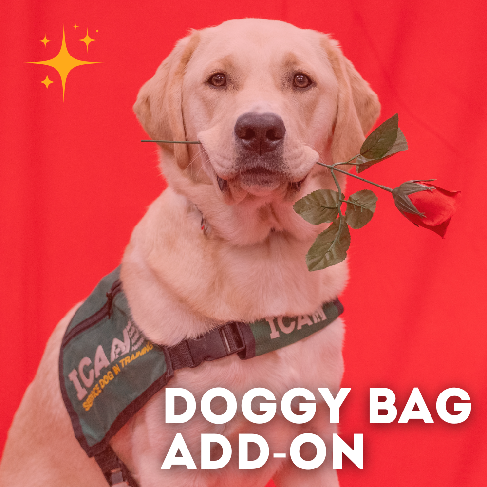 ✨ In-Person Delivery: Doggy Bag Add-On ✨