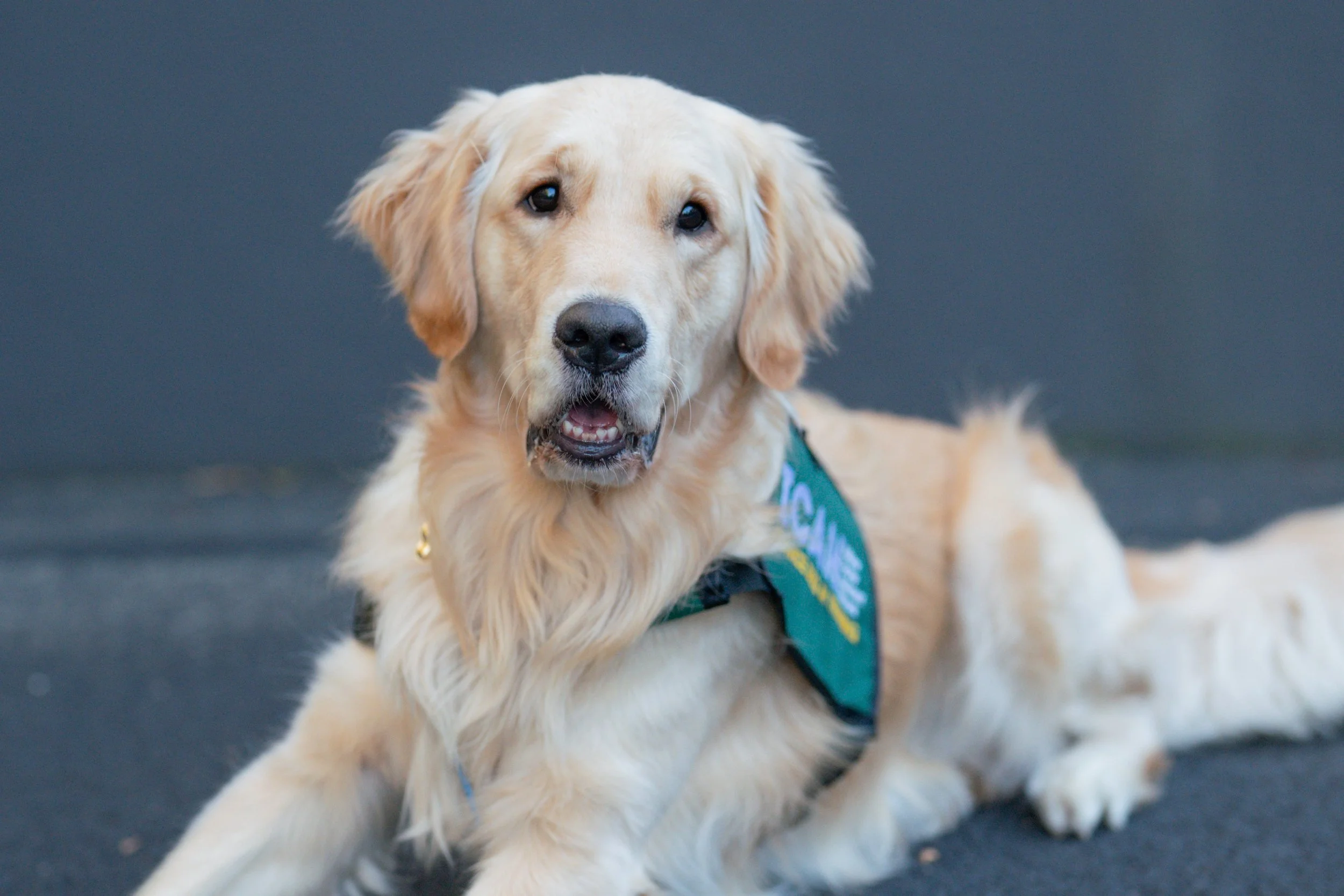 Your Legacy, Their Future: How a Gift to ICAN Can Change Lives for Years to Come