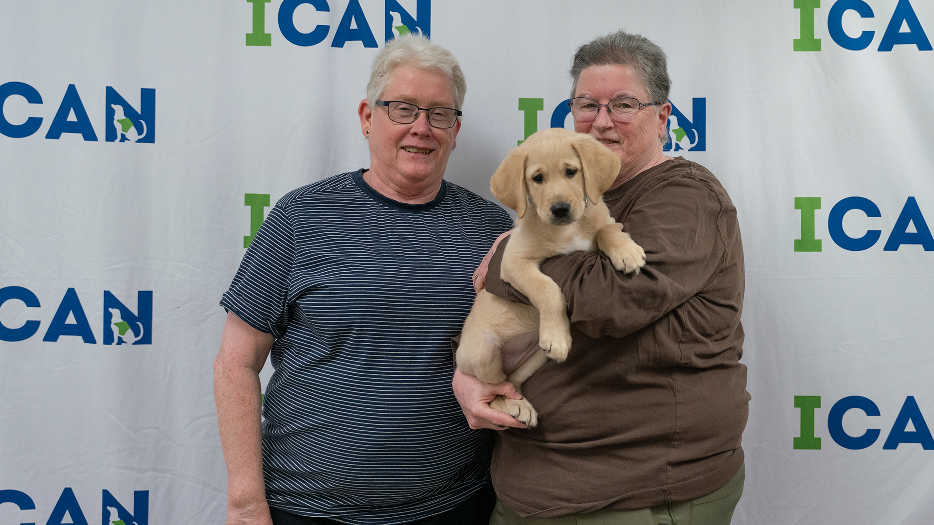 Turning retirement into tail wags&nbsp;