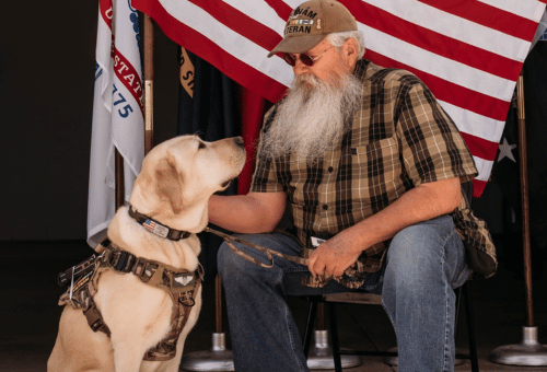 Man’s Best Friend: In War and At&nbsp;Home