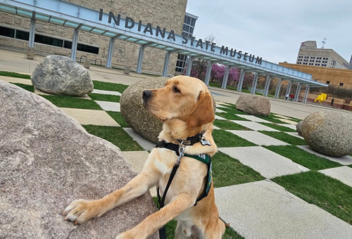 ICAN at the Indiana State Museum