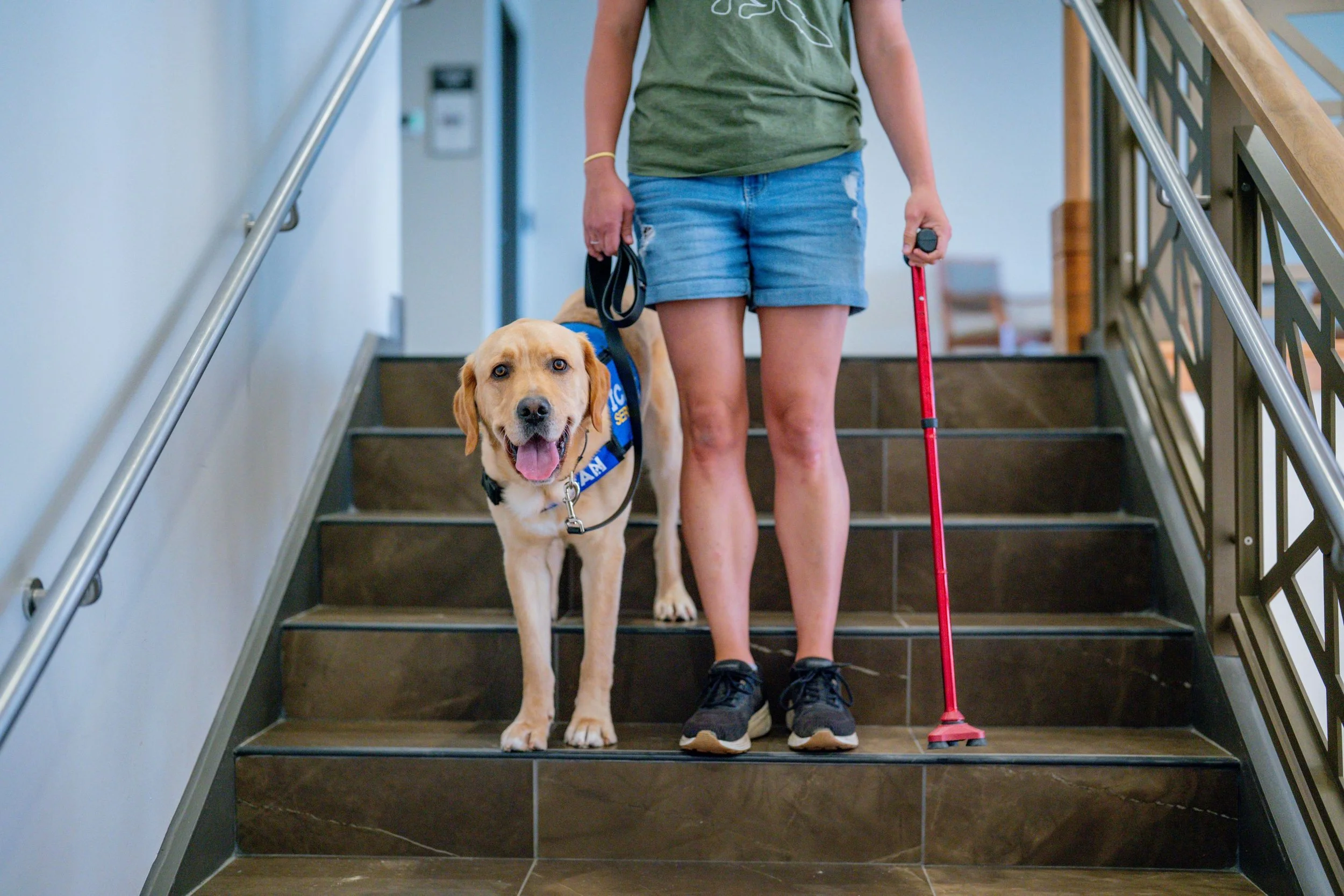 Service Dog Awareness Month: Celebrating Life-Changing Partnerships