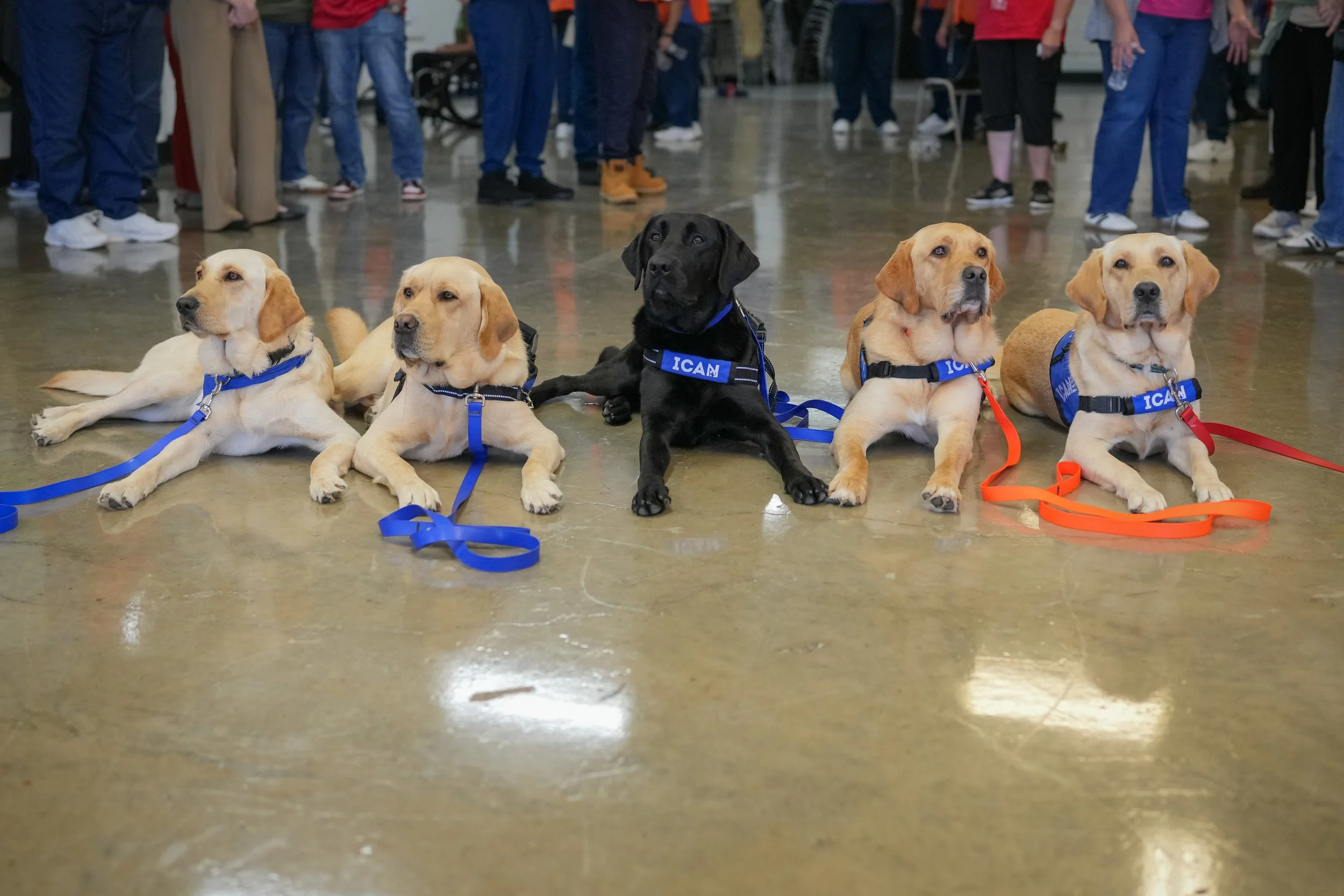 2026 Team Training and Graduation