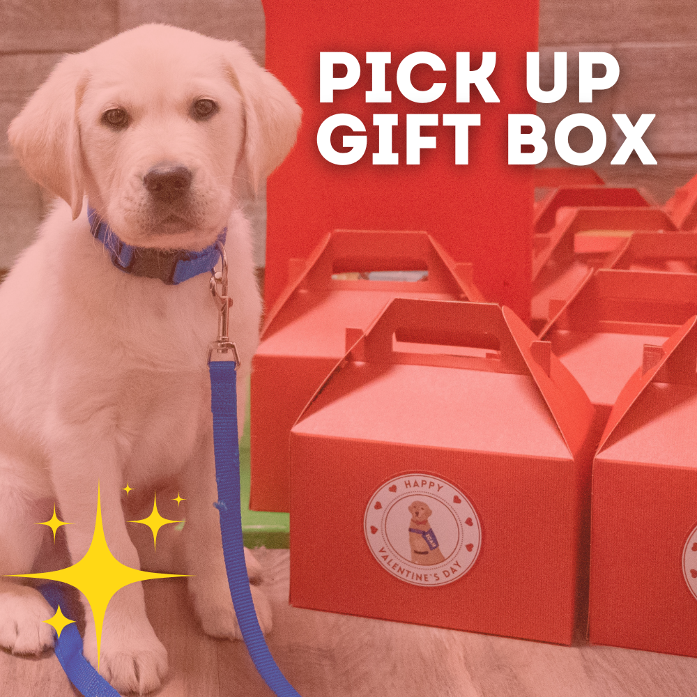 ✨ Puppy Love Valentine Pickup ✨