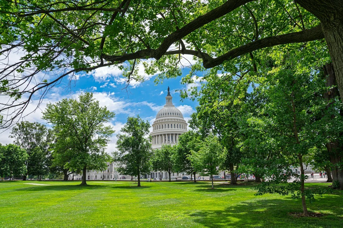 WHO IS SHAPING THE DEMOCRATIC PARTY?