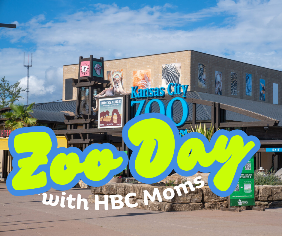 HBCMOMS Connect at the KC Zoo