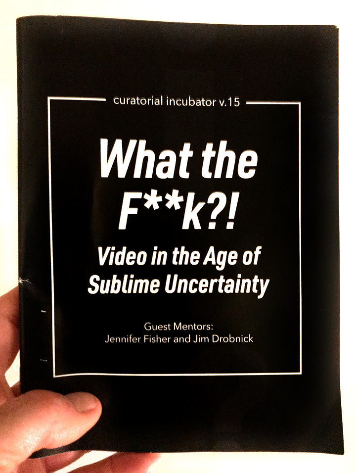 Remote Preparation: Curatorial Essay + Video Screening, V-Tape, Toronto