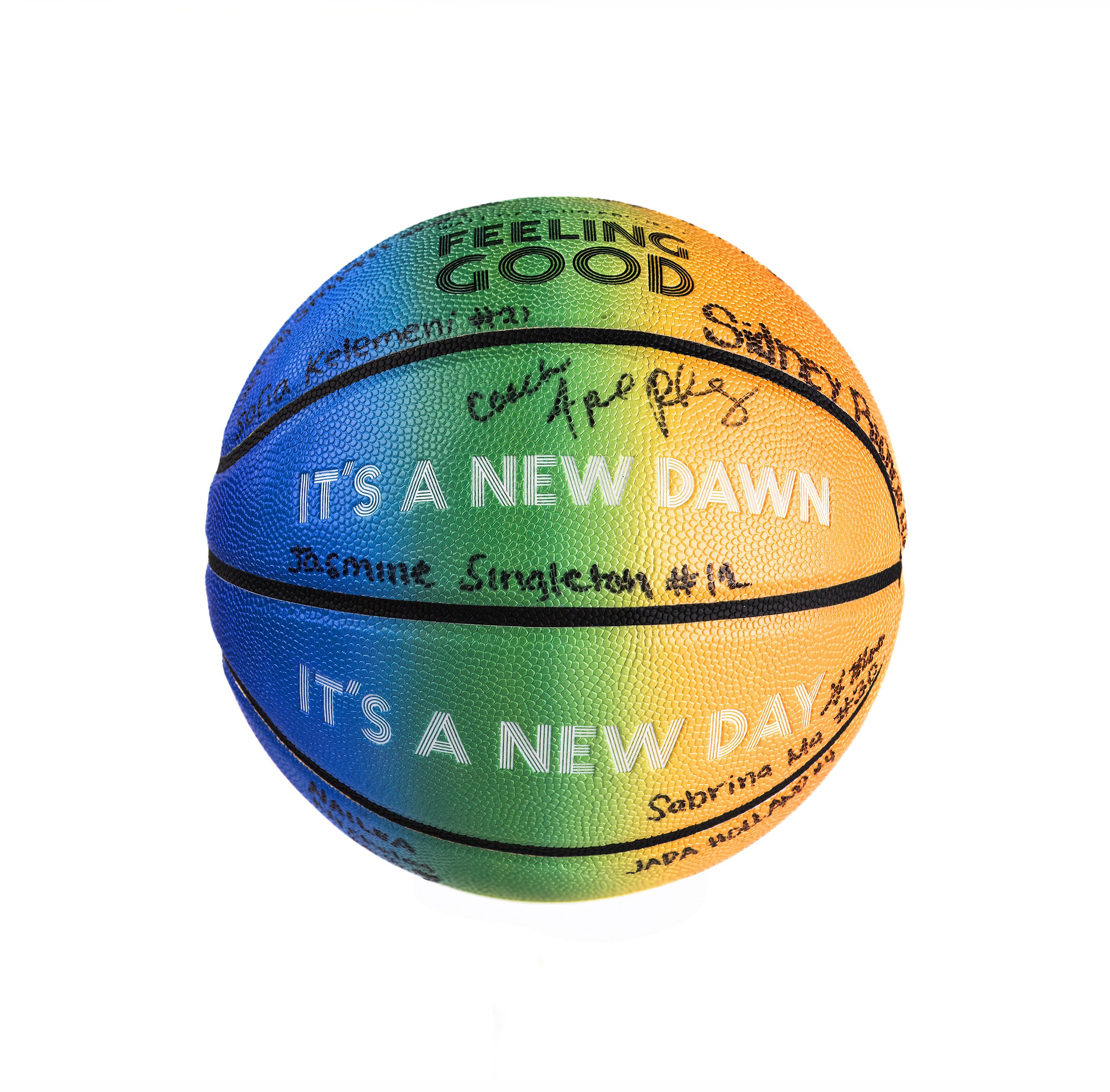 QUEERBALL, 2022-, Thompson Gallery, SJSU + Steps Cafe, SF MOMA 