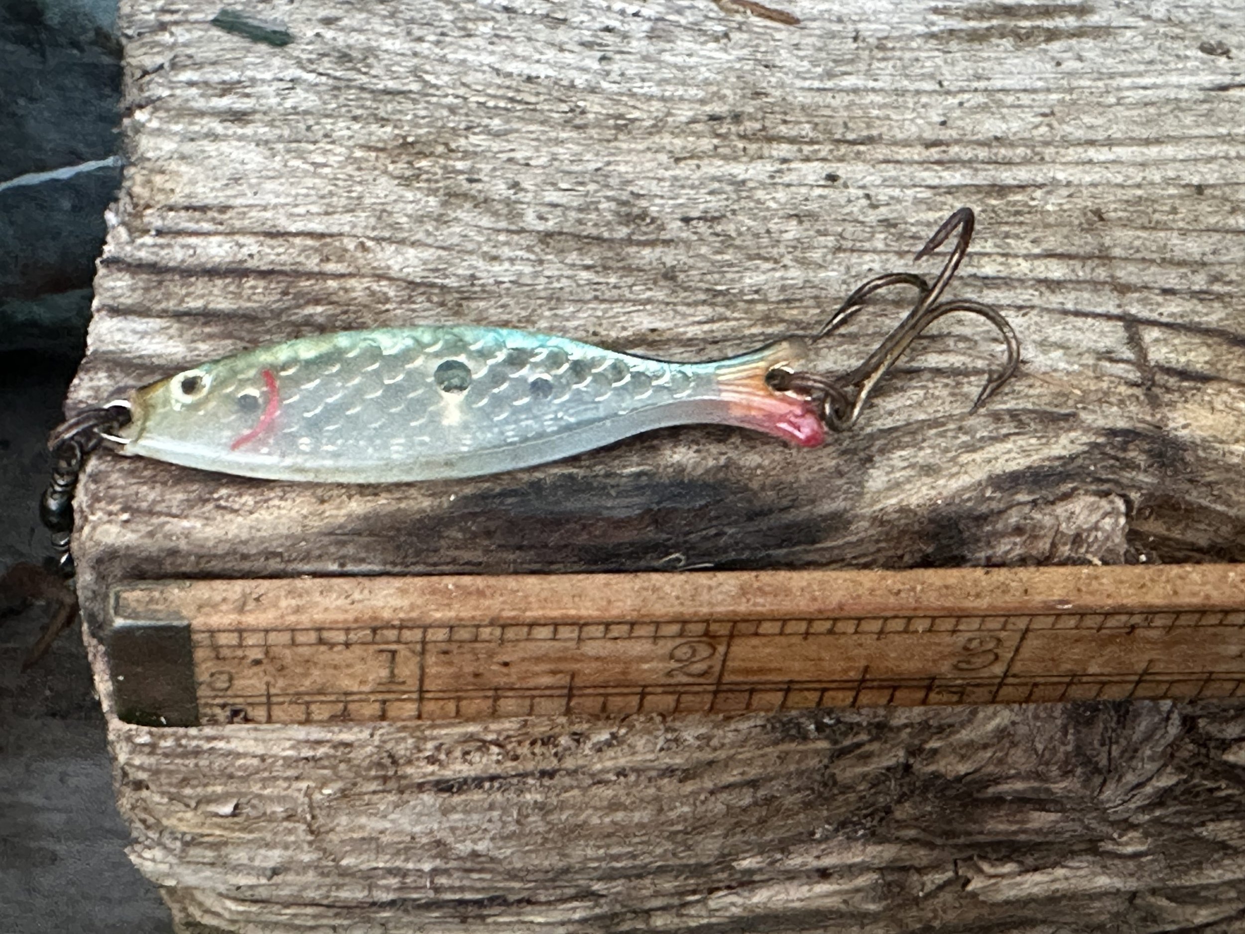 IMG_8013-scaled.jpeg