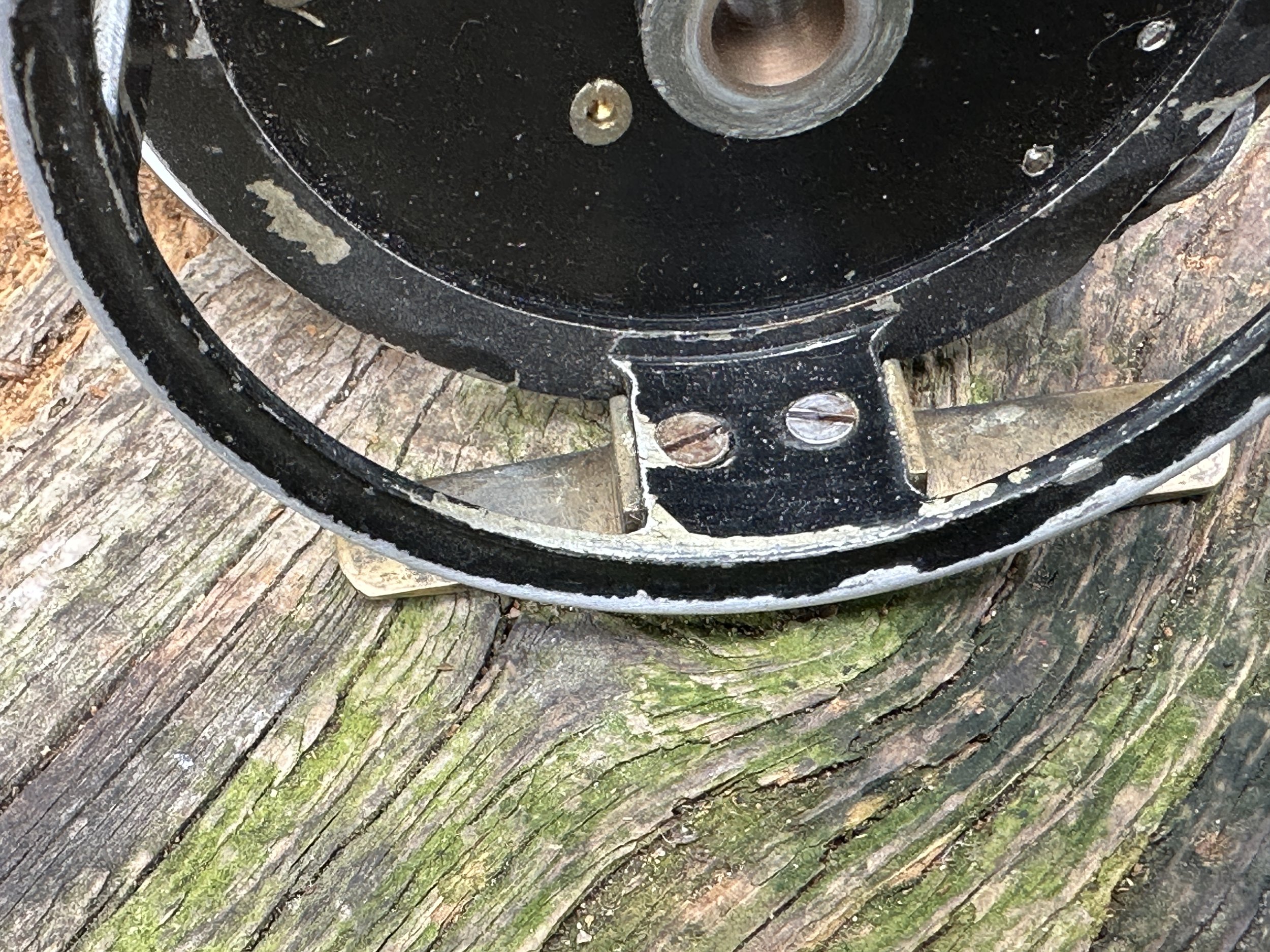 IMG_4762.jpeg