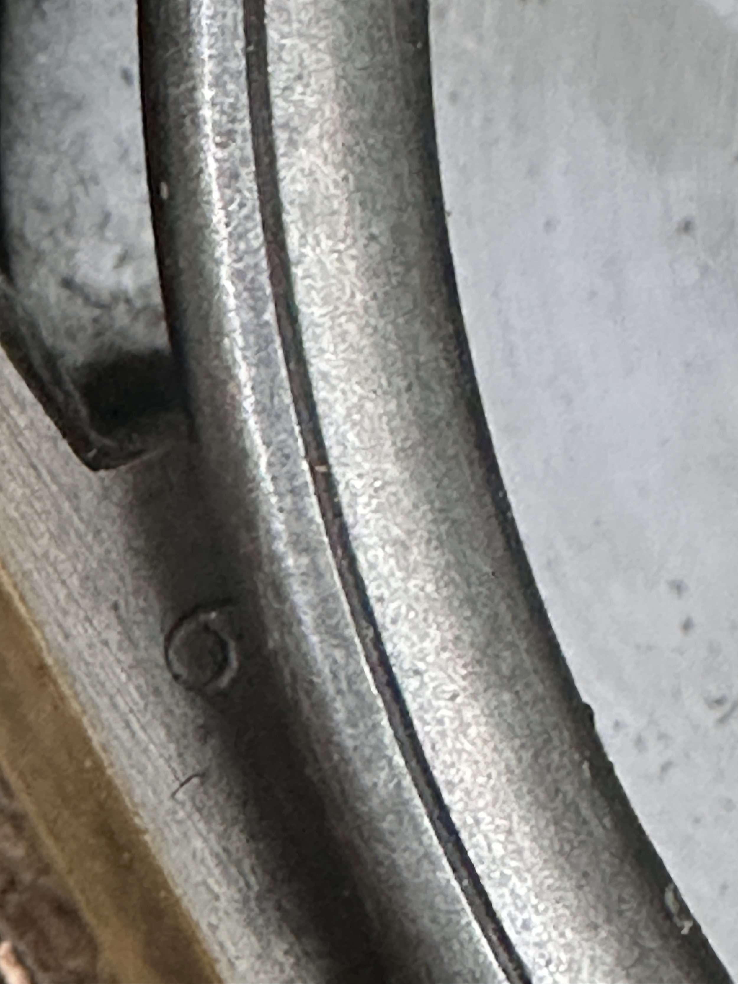 IMG_9496.jpeg